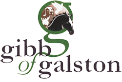 Gibb of Galston TASS